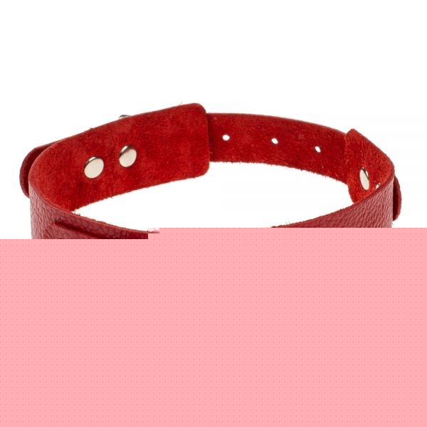 Нашийник Obediense Red - зображення 1