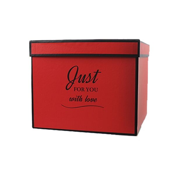 Подарункова коробка Just for you червона, M - 19,5 х19, 5х16, 5 см - зображення 1