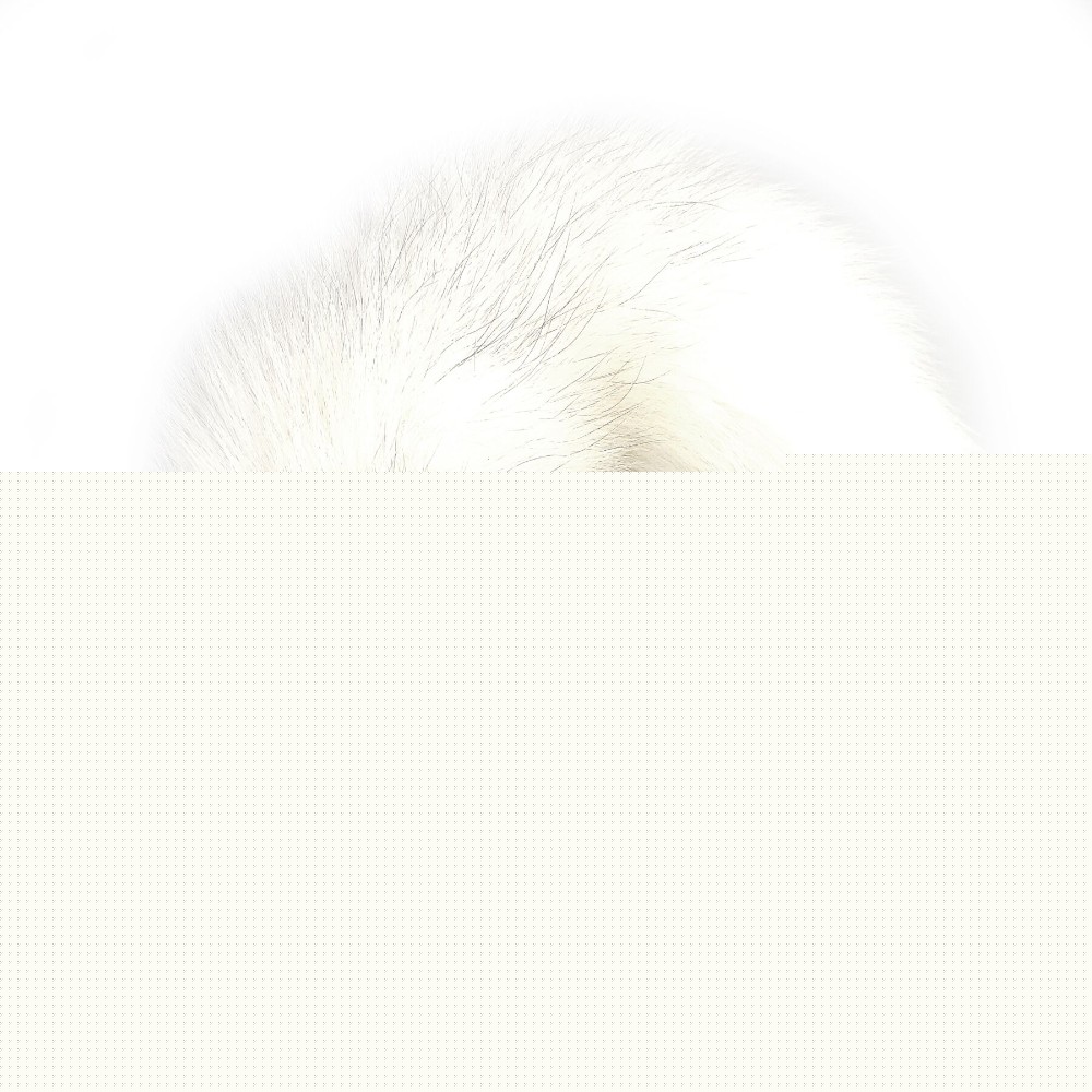Силіконова анальна пробка з хвостом із натурального хутра Art of Sex size M White fox - зображення 1